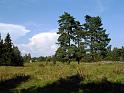 Bild 039